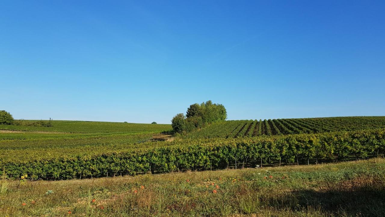 Haus Rebenblick Lägenhet Dierbach Exteriör bild