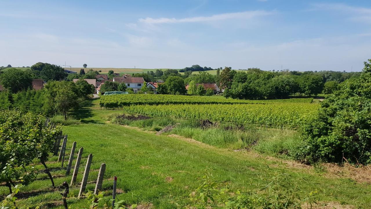 Haus Rebenblick Lägenhet Dierbach Exteriör bild