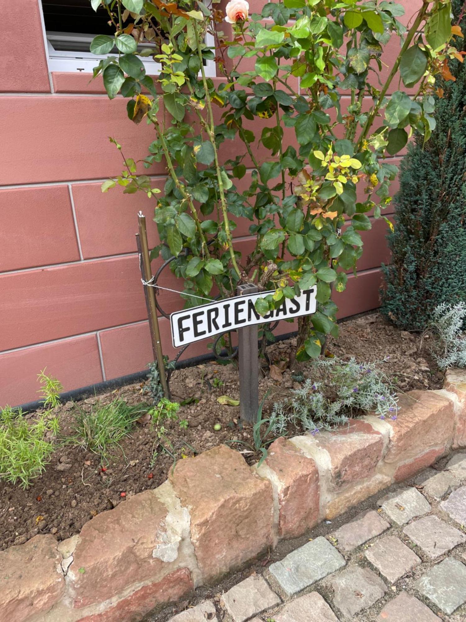 Haus Rebenblick Lägenhet Dierbach Exteriör bild